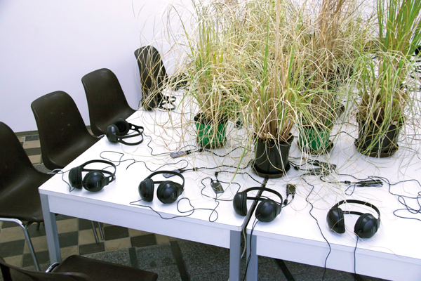 Rummelsburger Bucht 02