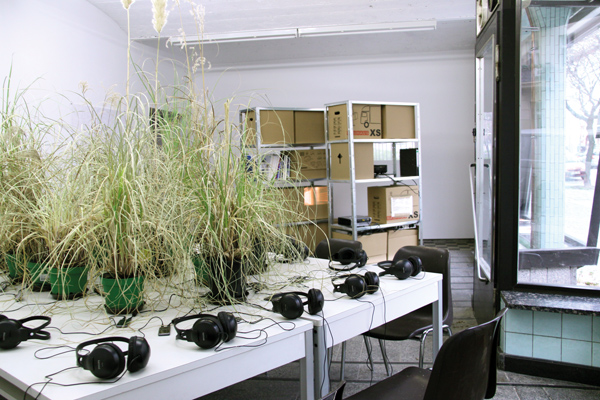 Rummelsburger Bucht 03